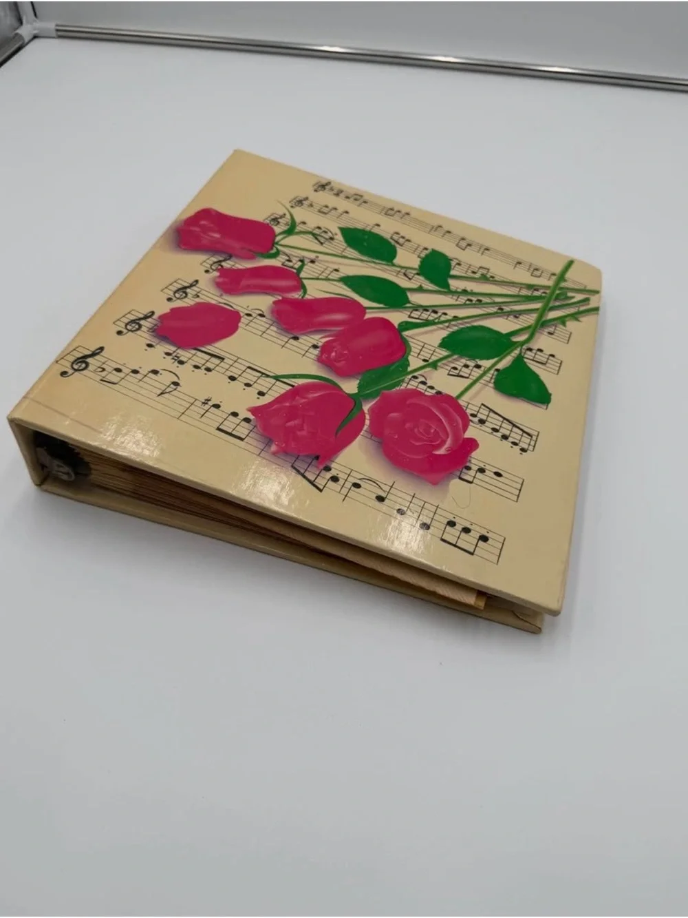 Vintage 1988 Lisa Frank RARE 3 Ring Binder Photo Album Pink Roses Music Notes